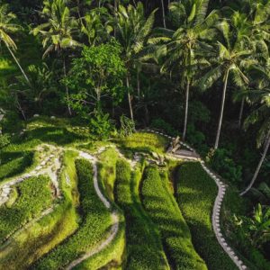 Ubud & Bangli